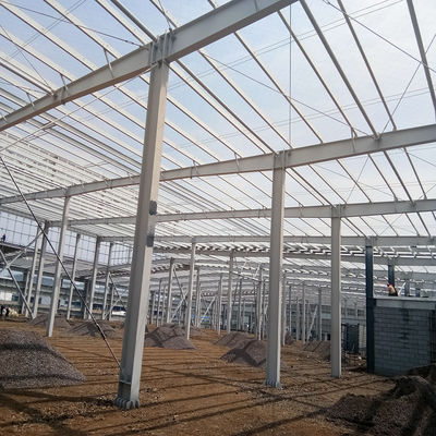 Multi Storey Large Span Customized Prefabricated Steel Structure Warehouse Workshop