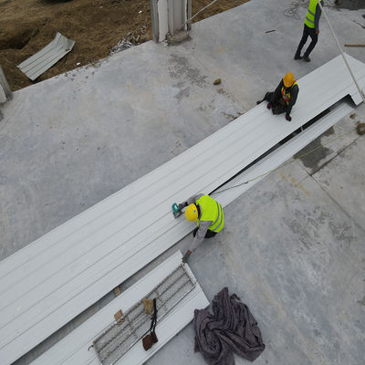 Steel Structure Factory with EPS Sandwich Panels and Galvanized Purlins