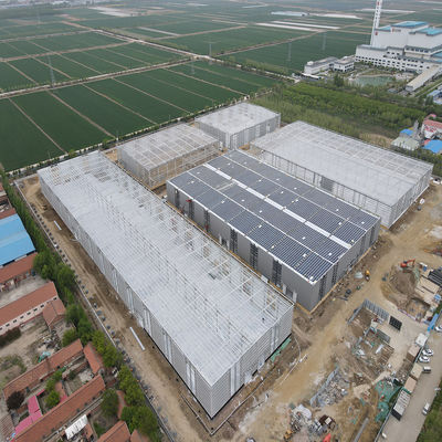 Steel Structure Factory with EPS Sandwich Panels and Galvanized Purlins