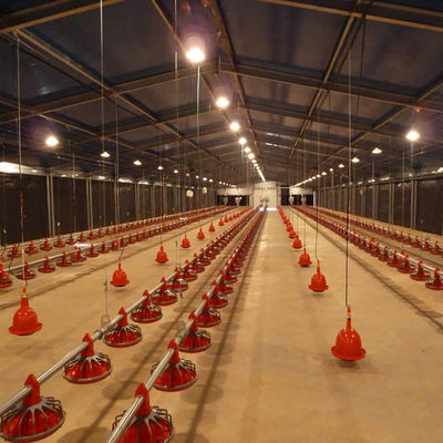 Q235B Galvanized Steel Structure Poultry House Bolts Connection Steel Chicken Houses