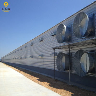 Galvanized Steel Poultry House for 20 Chickens with Automatic Waterer