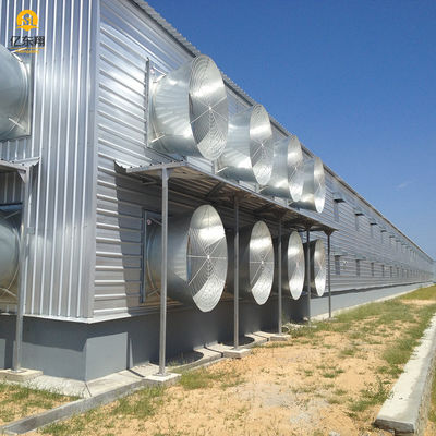 Large Scale Steel Structure Poultry House Construction Q235 Q235B Q345 S355