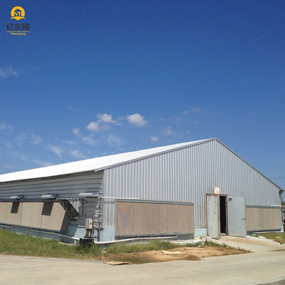 Large Scale Steel Structure Poultry House Construction Q235 Q235B Q345 S355