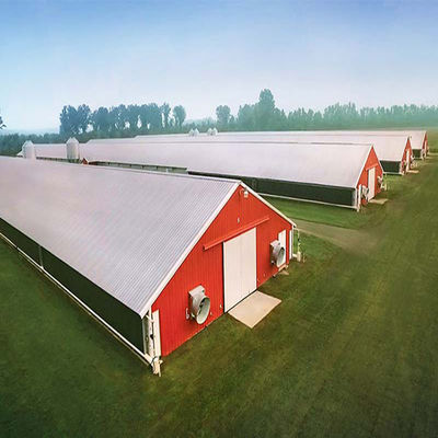 Durable Large Span Steel Structure Chicken House Light Steel Frame Construction