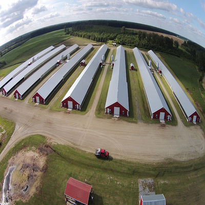 Galvanized Steel Frame Chicken House Bolts Connection Steel Structure Poultry Sheds