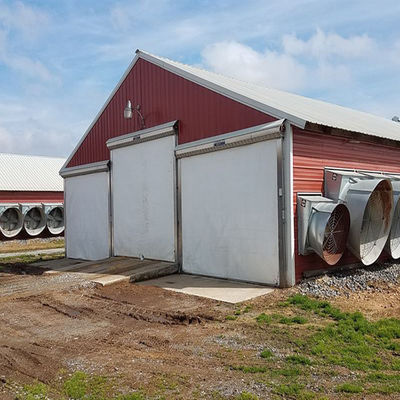 Galvanized Steel Frame Chicken House Bolts Connection Steel Structure Poultry Sheds