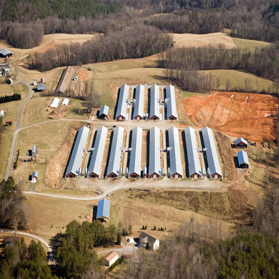 H Beam Steel Structure Poultry House with Bolts Connection