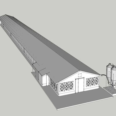 Modern Long Span Steel Construction Building High Capacity Prefabricated Poultry House