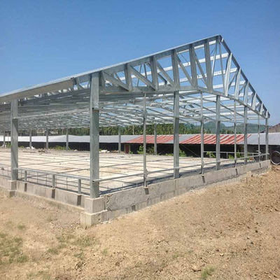 Modern Long Span Steel Construction Building High Capacity Prefabricated Poultry House