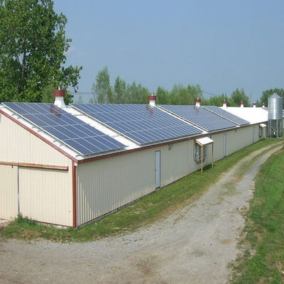 Modern Long Span Steel Construction Building High Capacity Prefabricated Poultry House