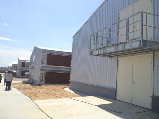 Q235B Galvanized Steel Structure Poultry House Bolts Connection Steel Chicken Houses
