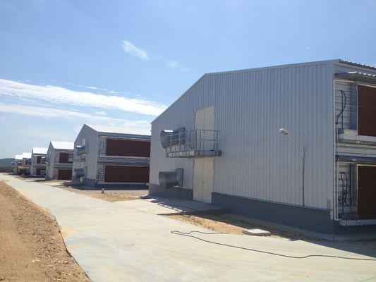 Q235B Galvanized Steel Structure Poultry House Bolts Connection Steel Chicken Houses