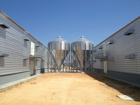 Q235B Galvanized Steel Structure Poultry House Bolts Connection Steel Chicken Houses