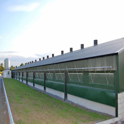 Fully Automated Ventilated Chicken Coop Light Steel Frame Structure Building
