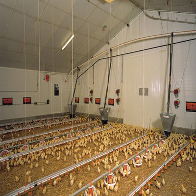 Fully Automated Modular Steel Structure Poultry House Fireproof Prefab Farm Buildings