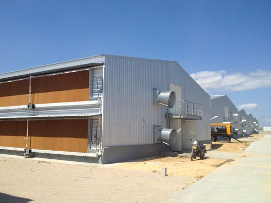 Galvanized Steel Frame Chicken House Bolts Connection Steel Structure Poultry Sheds