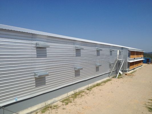 Galvanized Steel Frame Chicken House Bolts Connection Steel Structure Poultry Sheds