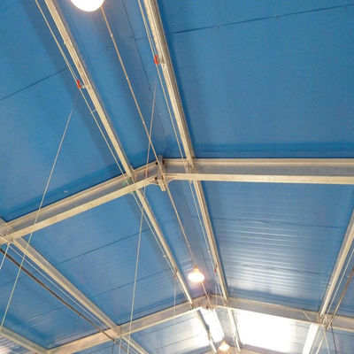 Fireproof Steel Structure Poultry House Automated Ventilation Steel Frame Chicken Coop