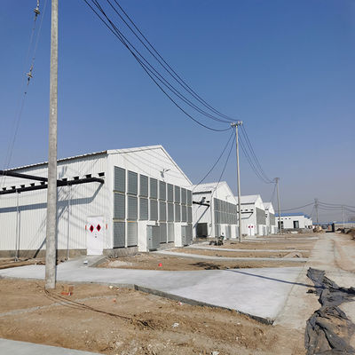 Automated Ventilation Steel Frame Chicken Coop Management Poultry House