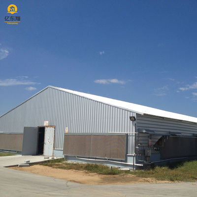 Customizable Farm Steel Structure Poultry House Galvanized For Automated Ventilation